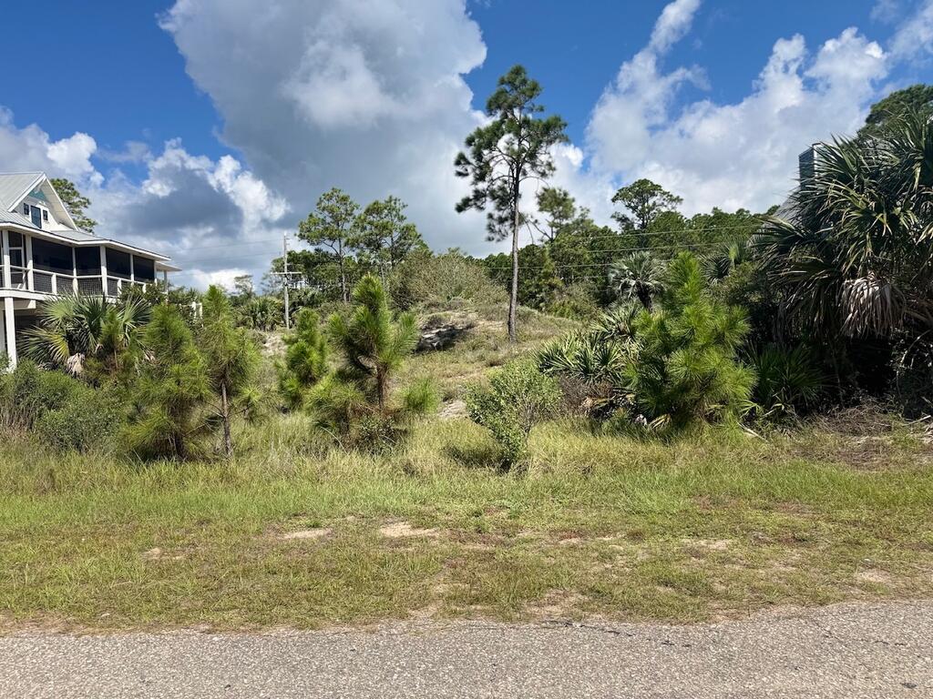 163 Treasure Dr, Port Saint Joe, FL 32456 photo