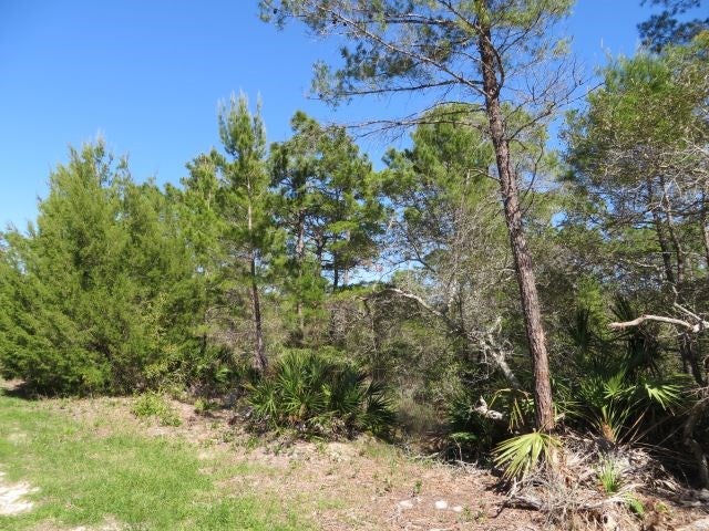 332 Frank Mckamey Way, Carrabelle, FL 32322 photo