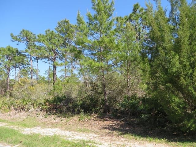 332 Frank Mckamey Way, Carrabelle, FL 32322 photo