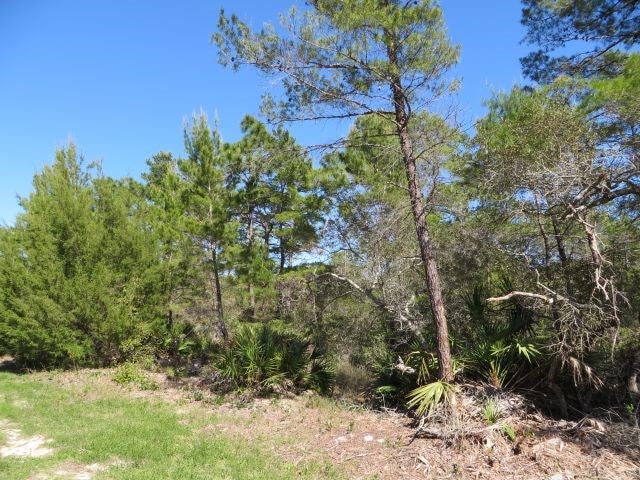 332 Frank Mckamey Way, Carrabelle, FL 32322 photo