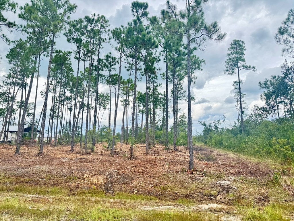 16 Live Oak Dr #LOT, Wewahitchka, FL 32465 photo