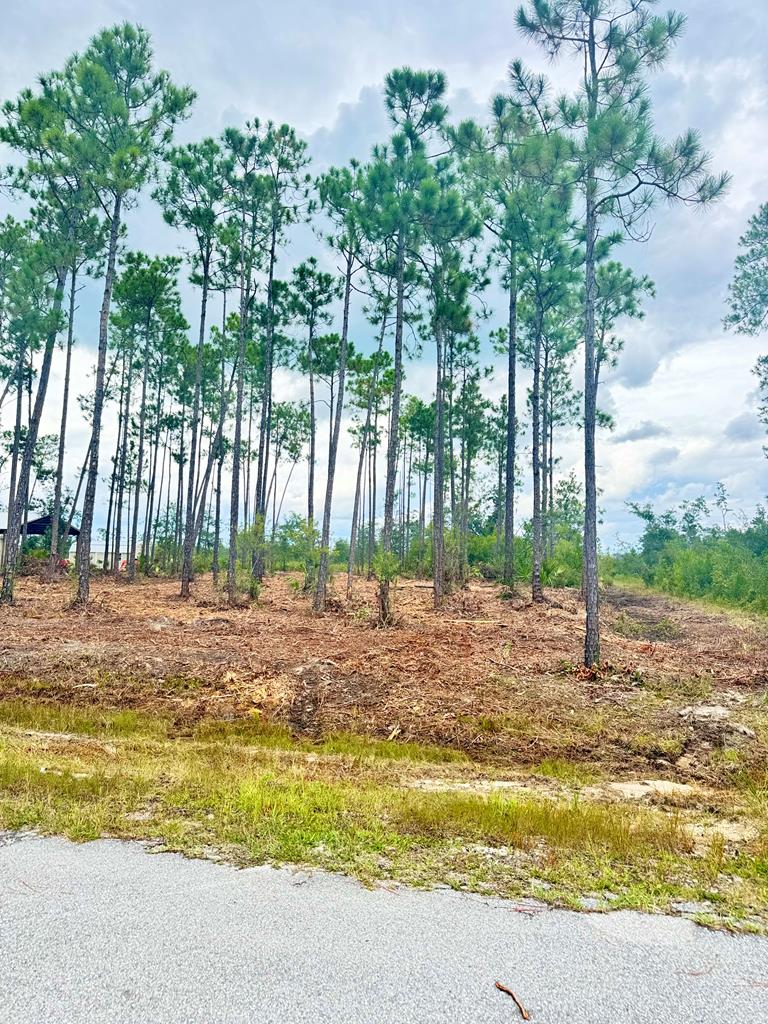 16 Live Oak Dr, Wewahitchka, FL 32465