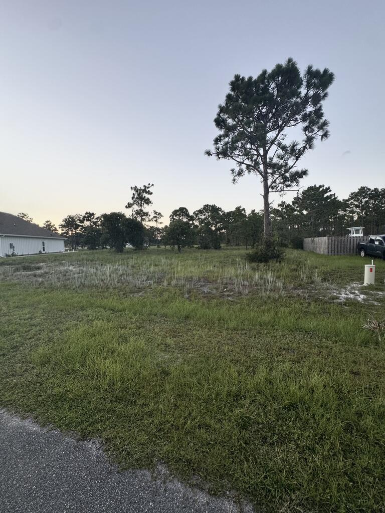 TBA Gulf Coast CR, Port Saint Joe, FL 32456 photo