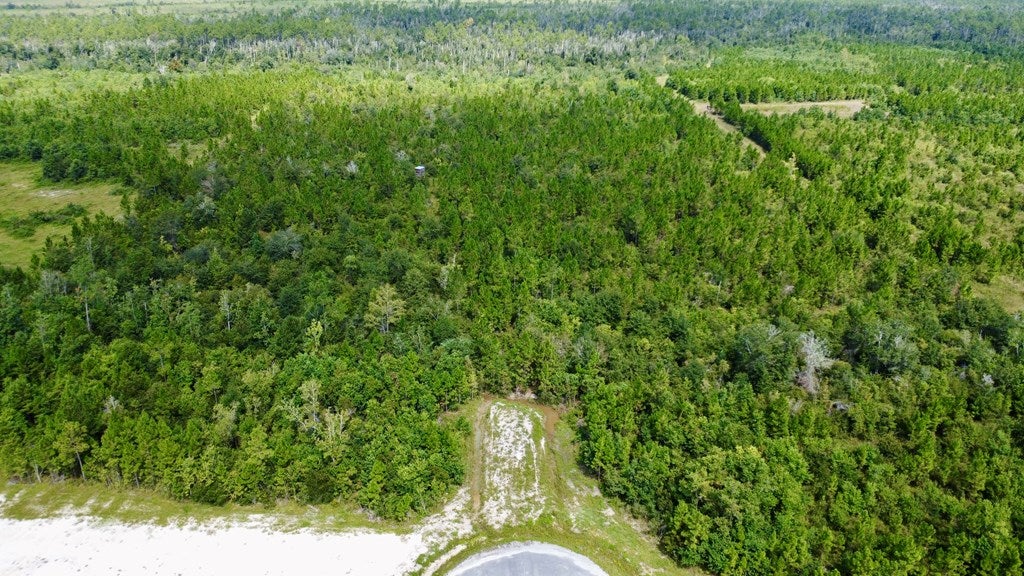 TBD Harmony St, Wewahitchka, FL 32465 photo