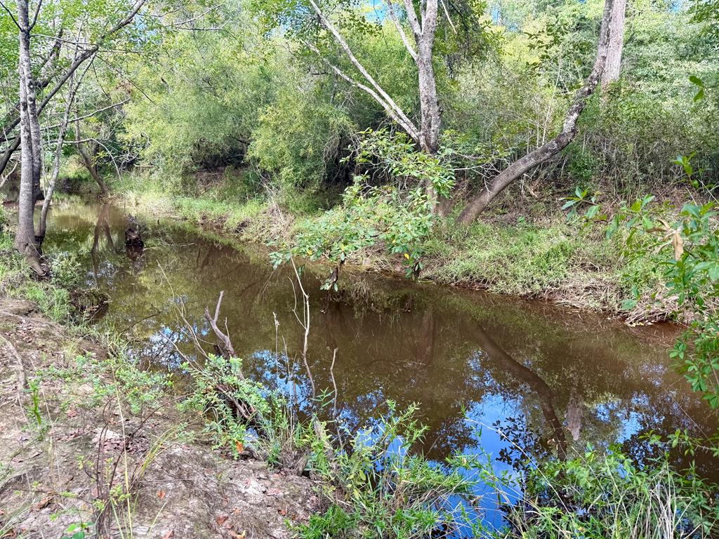 TBD Harmony St, Wewahitchka, FL 32465 photo