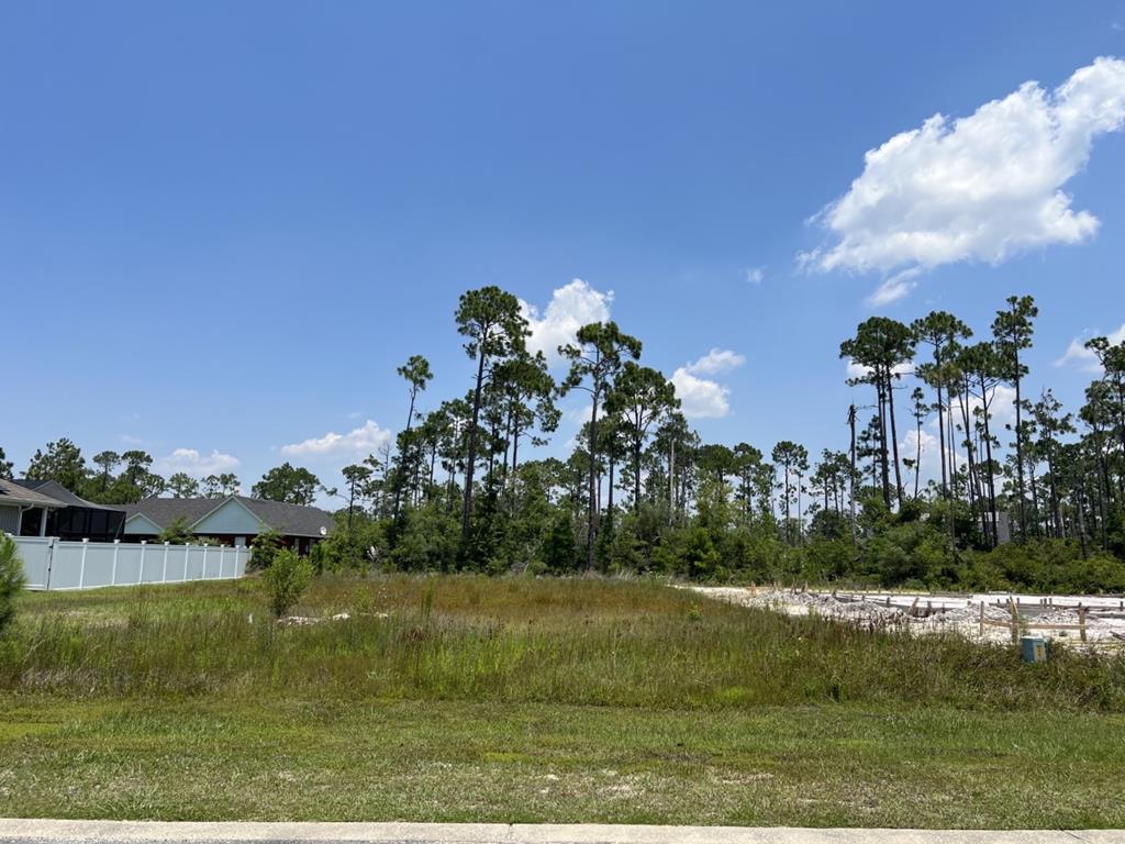 119 White Blossom Trl, Port Saint Joe, FL 32456