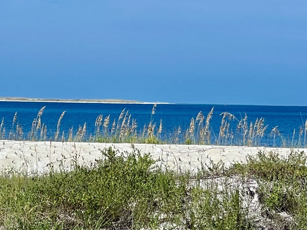 119 White Blossom Trl, Port Saint Joe, FL 32456 photo