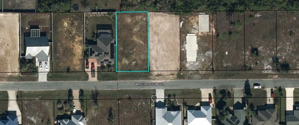119 White Blossom Trl, Port Saint Joe, FL 32456 photo