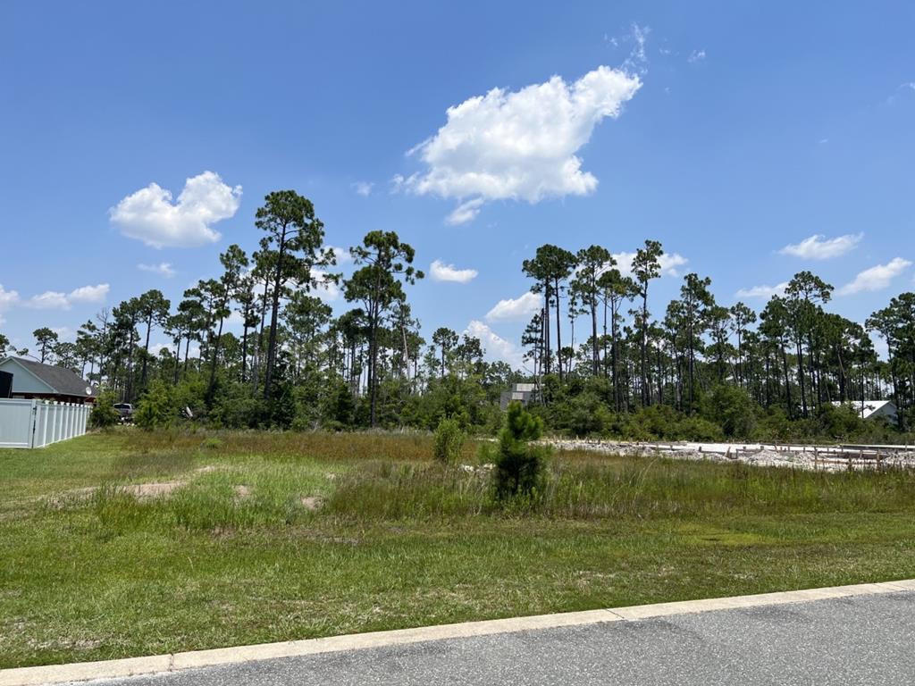 119 White Blossom Trl, Port Saint Joe, FL 32456 photo