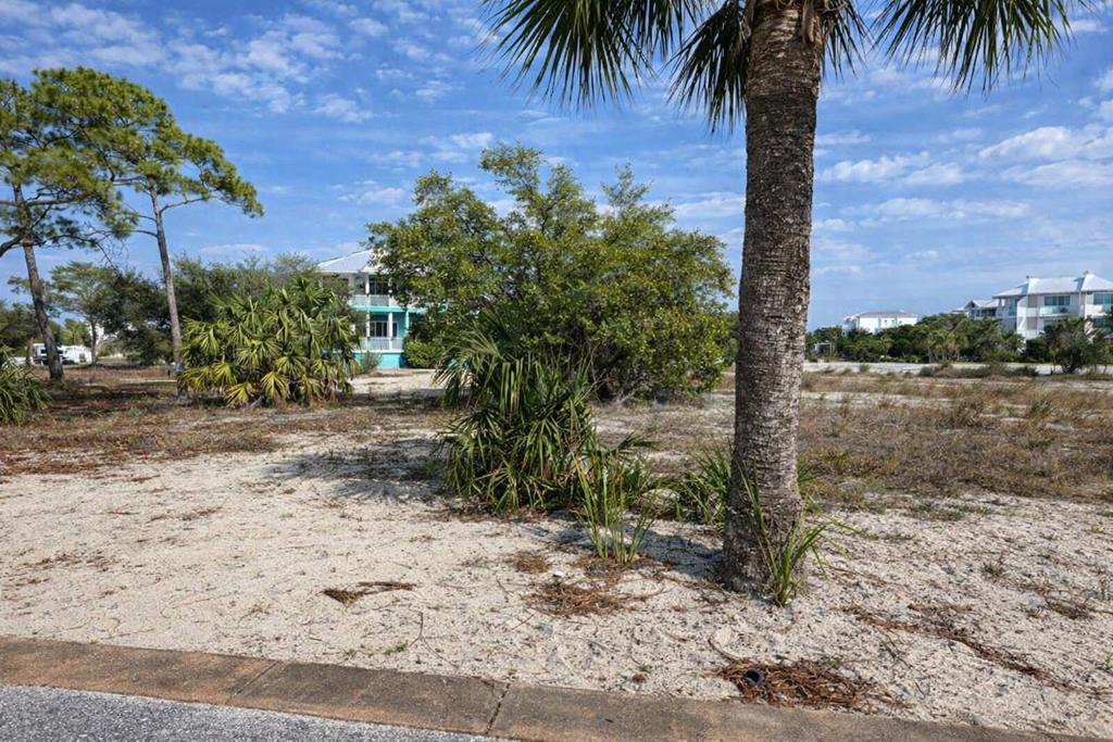 352 County Road Grass Way, Port Saint Joe, FL 32456 photo