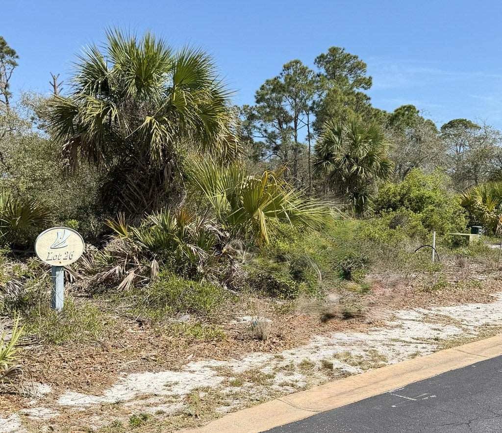 26 Pinnacle Dr, Port Saint Joe, FL 32456 photo