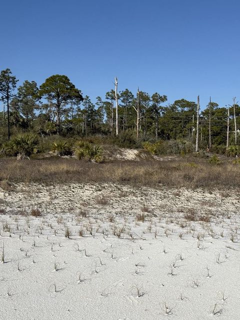  in Cape San Blas FL TBD Cr 30-A.jpg