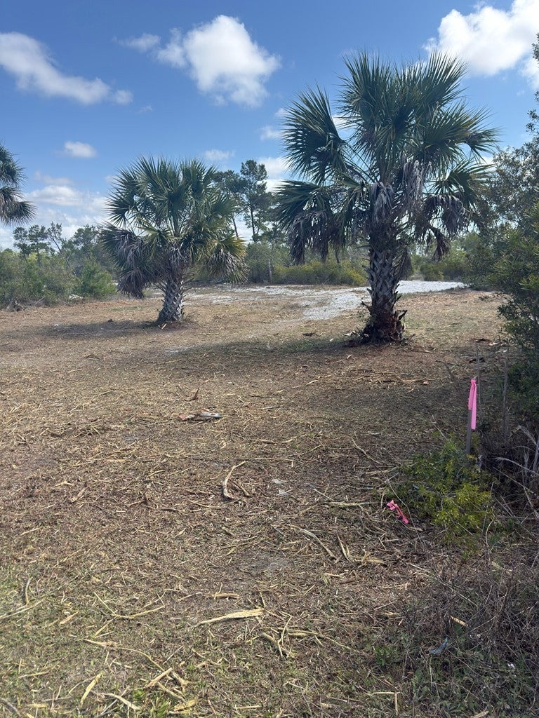 Lot C Adventure Ave, Port Saint Joe, FL 32456 photo
