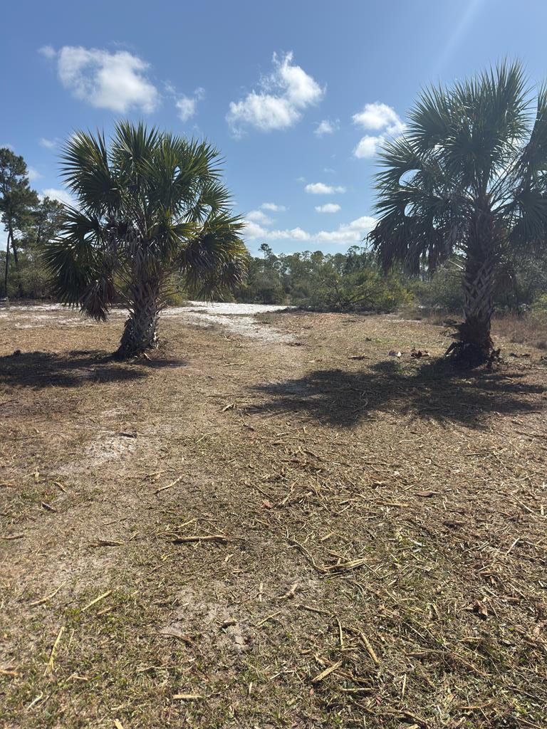 Lot C Adventure Ave, Port Saint Joe, FL 32456 photo