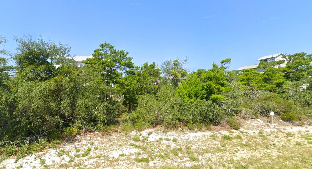 22 Cape San Blas Rd #LOT, Cape San Blas, FL 32456 photo
