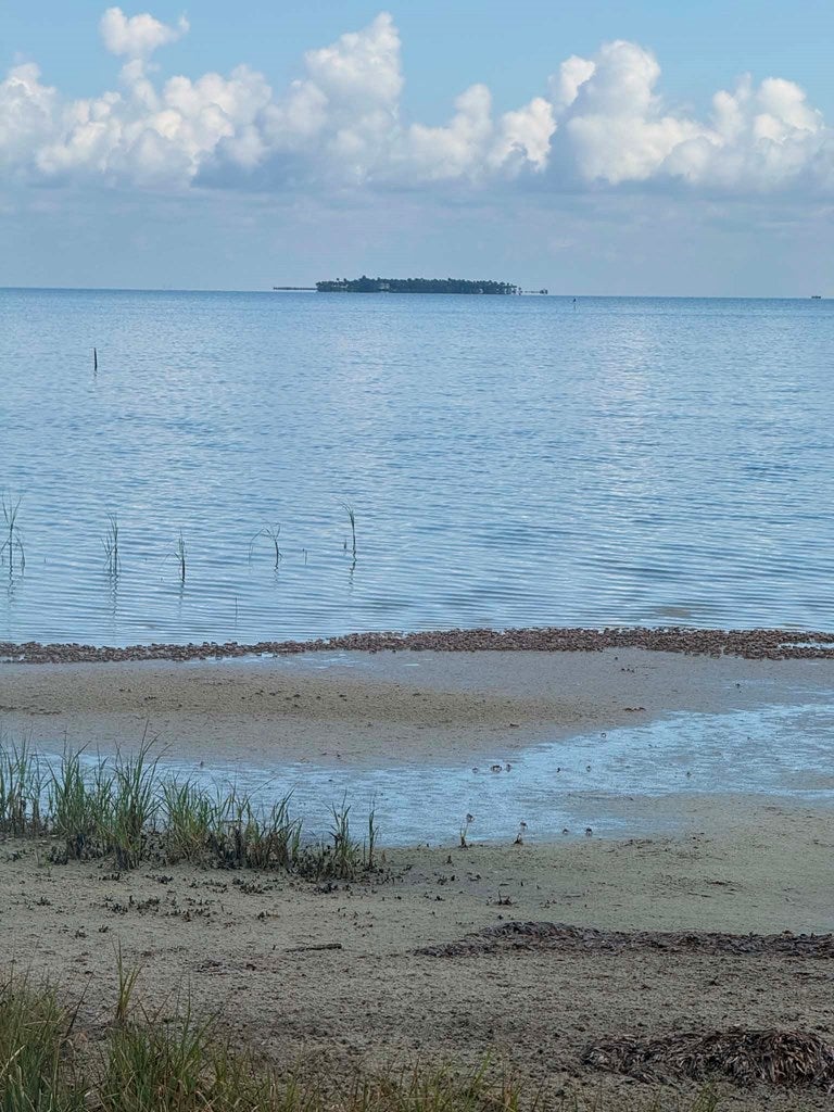 2 Cape San Blas Rd #LOT, Cape San Blas, FL 32456 photo