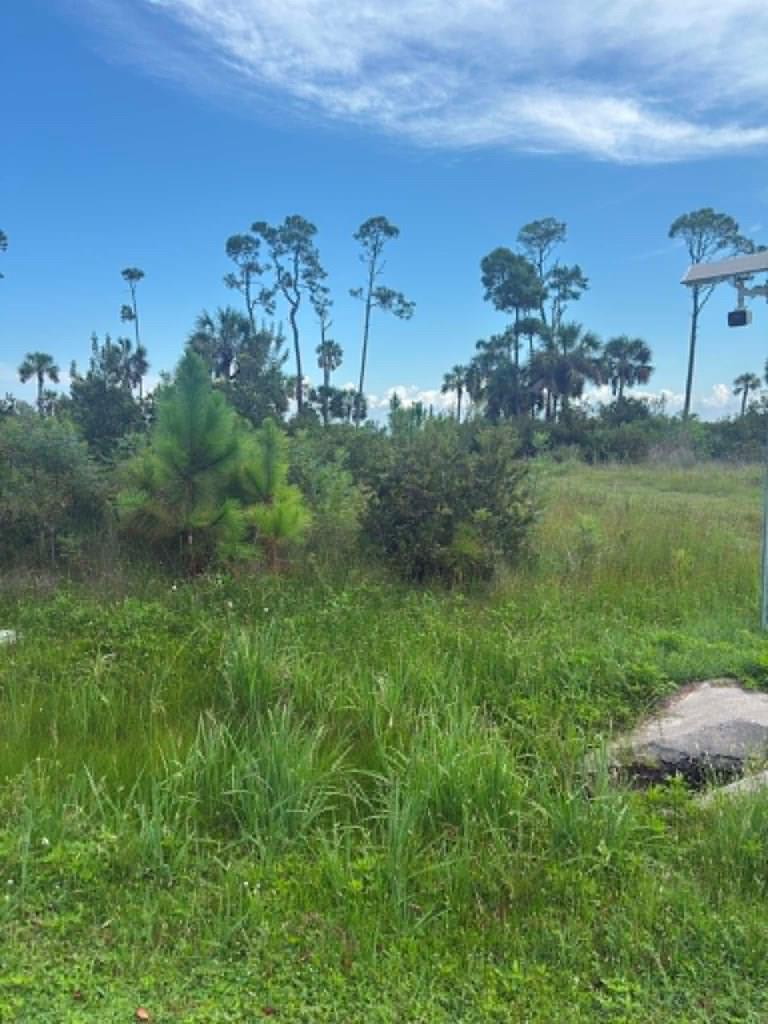 2 Cape San Blas Rd, Cape San Blas, FL 32456