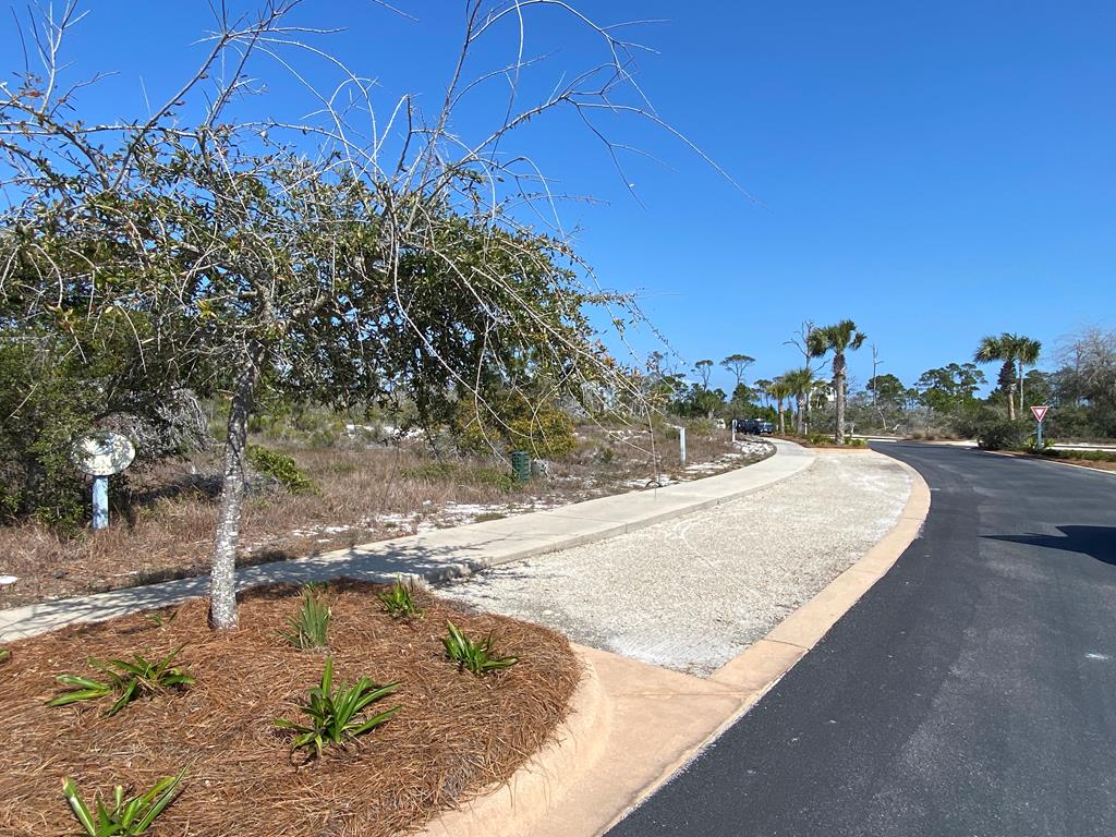 71 Regatta Dr #LOT, Port Saint Joe, FL 32456 photo