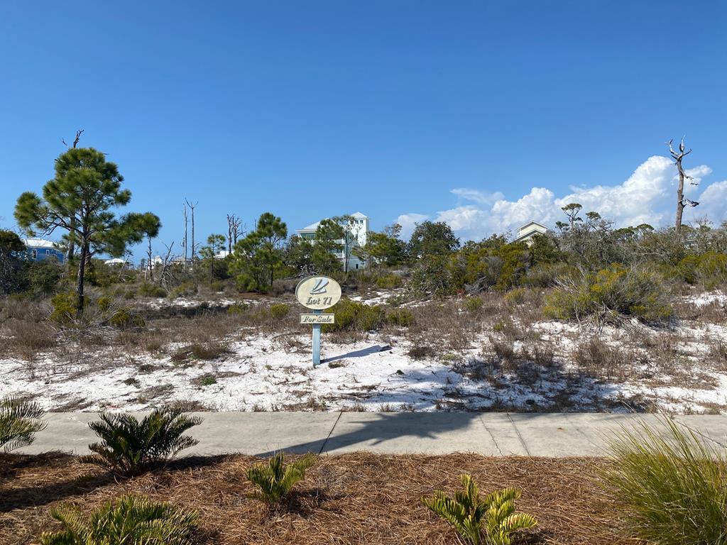 71 Regatta Dr, Port Saint Joe, FL 32456