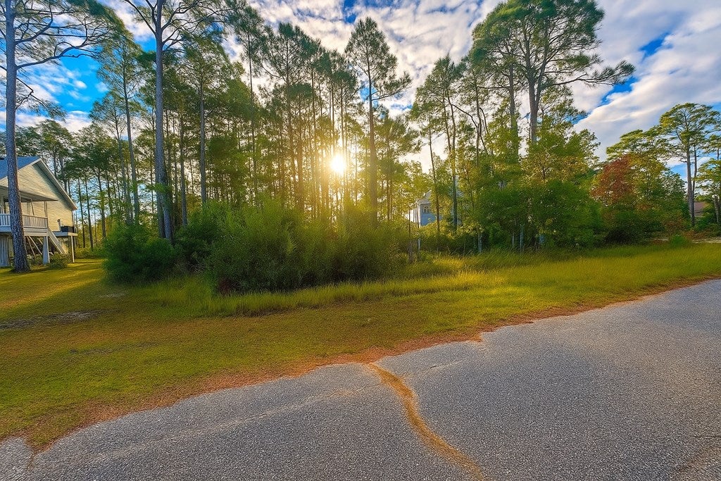 6 Sandbar Dr #LOT, Port Saint Joe, FL 32456 photo