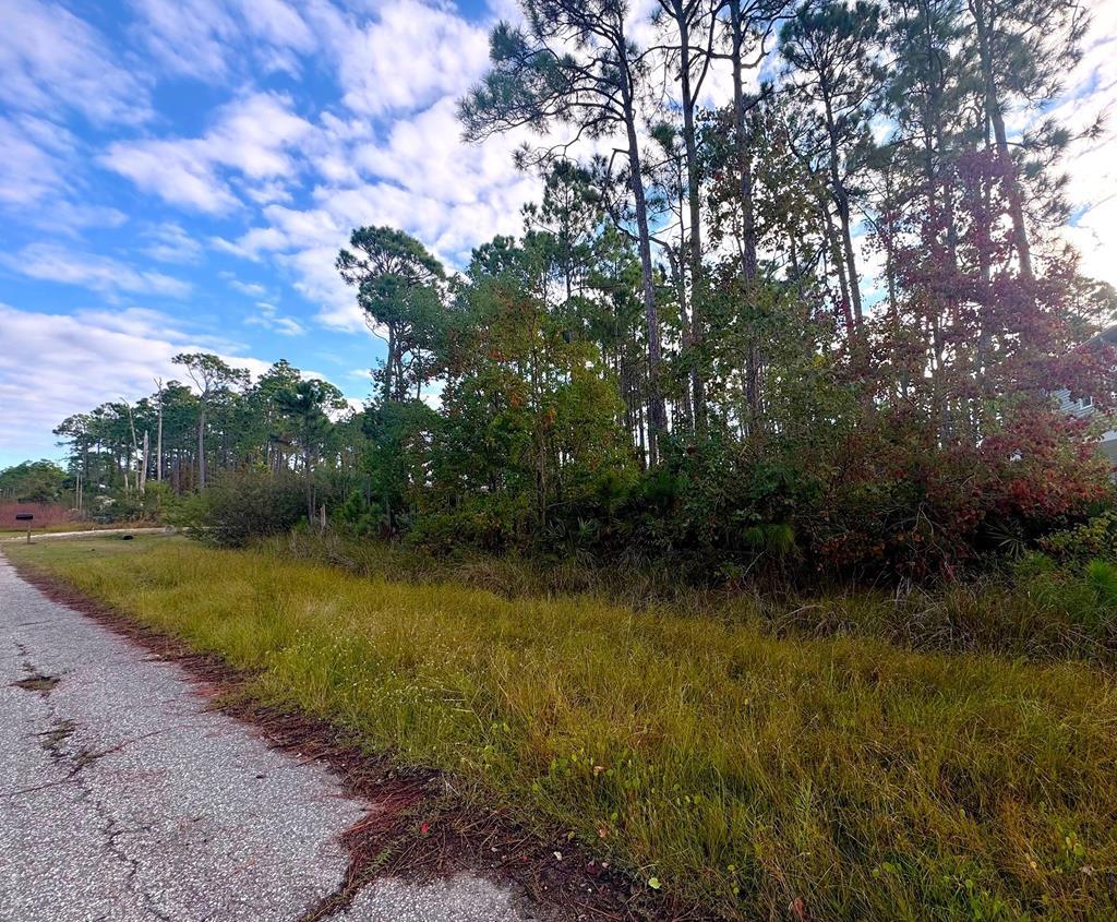 6 Sandbar Dr #LOT, Port Saint Joe, FL 32456 photo