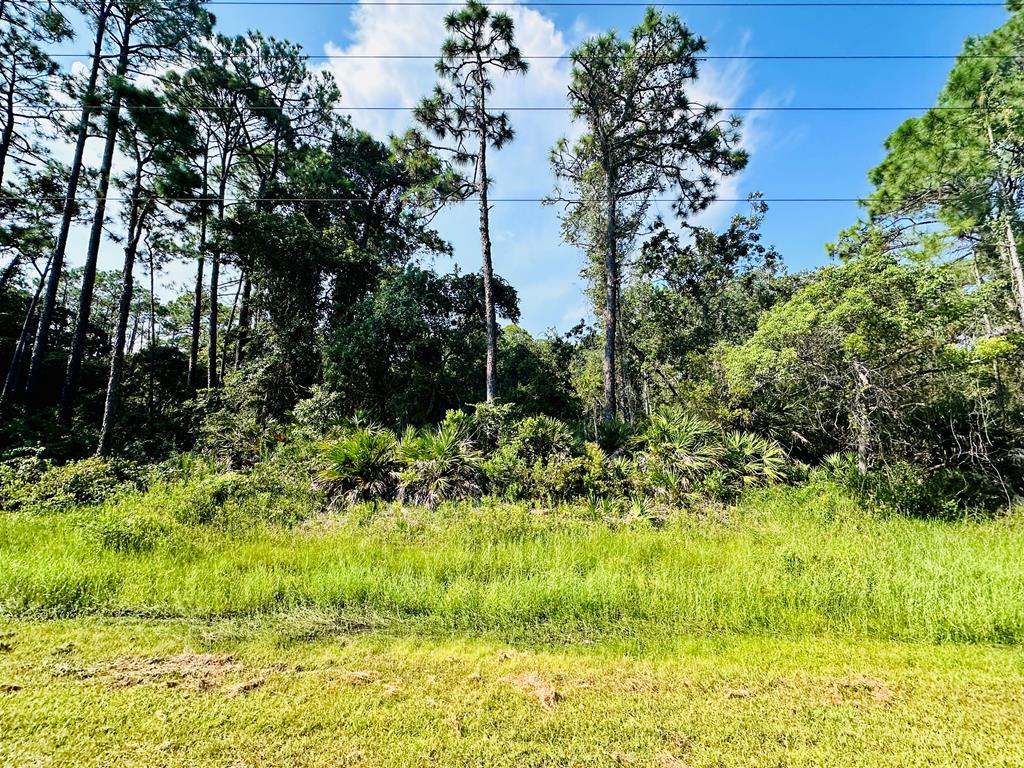 265 Twin Lake Rd, Eastpoint, FL 32328 photo