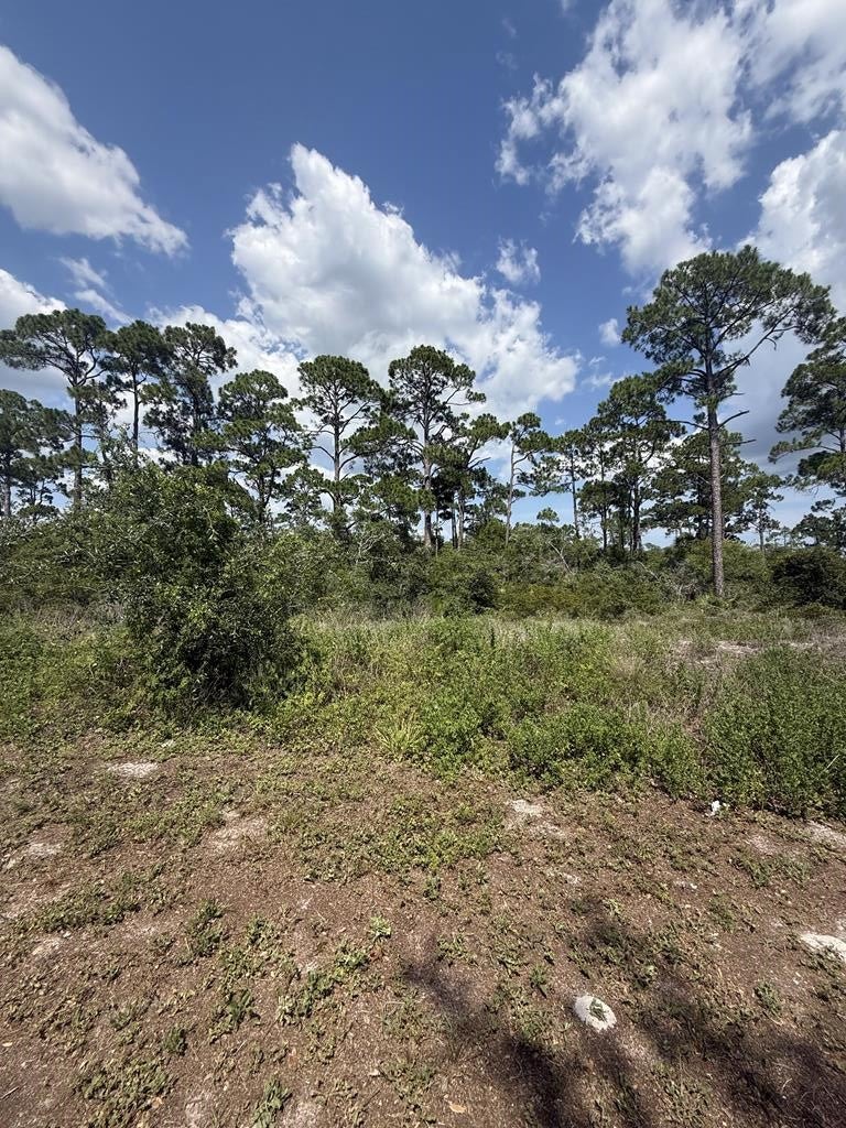 504 Tide Water Dr, Port Saint Joe, FL 32456