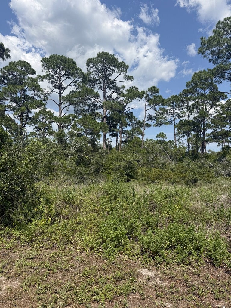 504 Tide Water Dr, Port Saint Joe, FL 32456 photo