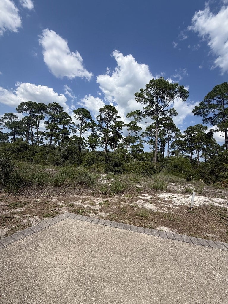 504 Tide Water Dr, Port Saint Joe, FL 32456 photo