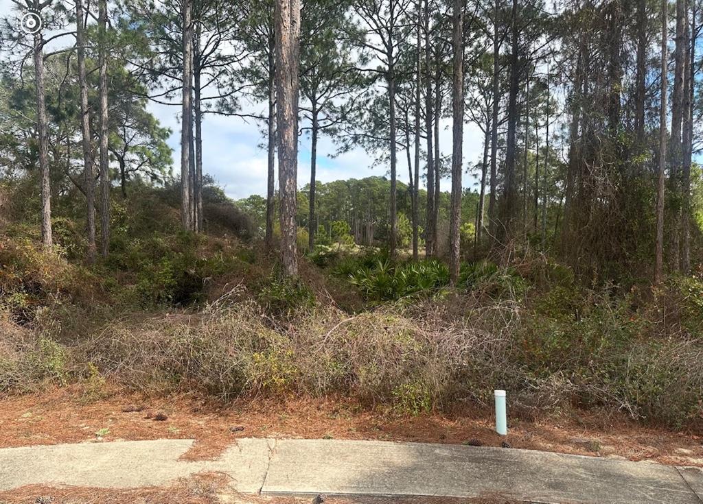 130 Spoonbill Ct, Carrabelle, FL 32322