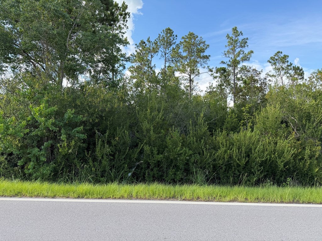 5 Borders Rd #LOT, Wewahitchka, FL 32465 photo