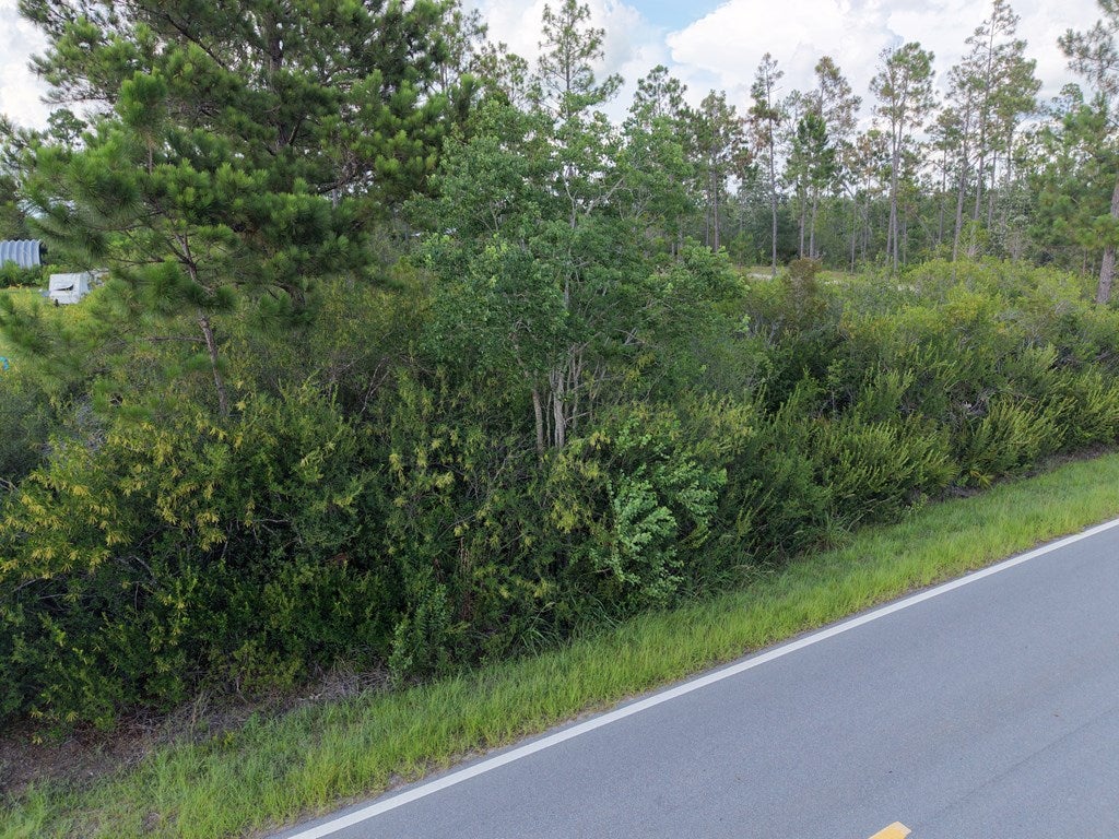 5 Borders Rd #LOT, Wewahitchka, FL 32465 photo