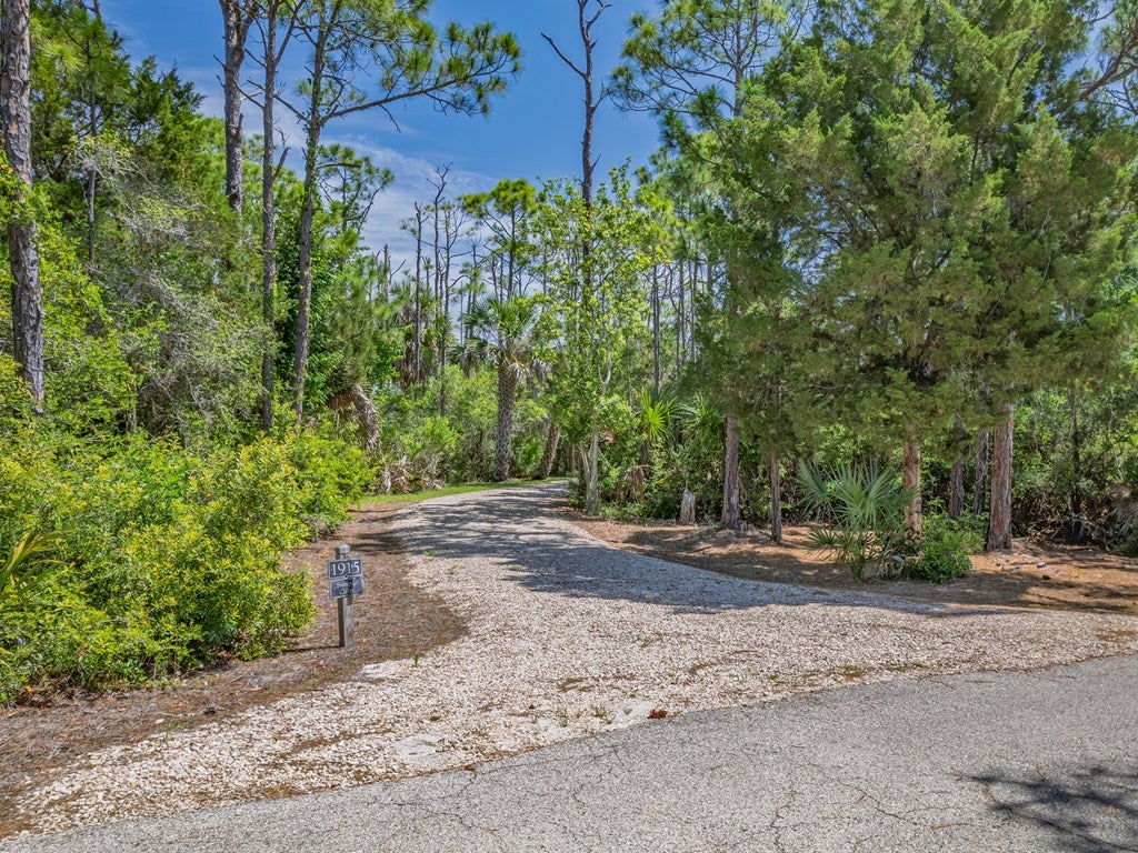 1915 Smugglers Cove Rd, St. George Island, FL 32328 photo