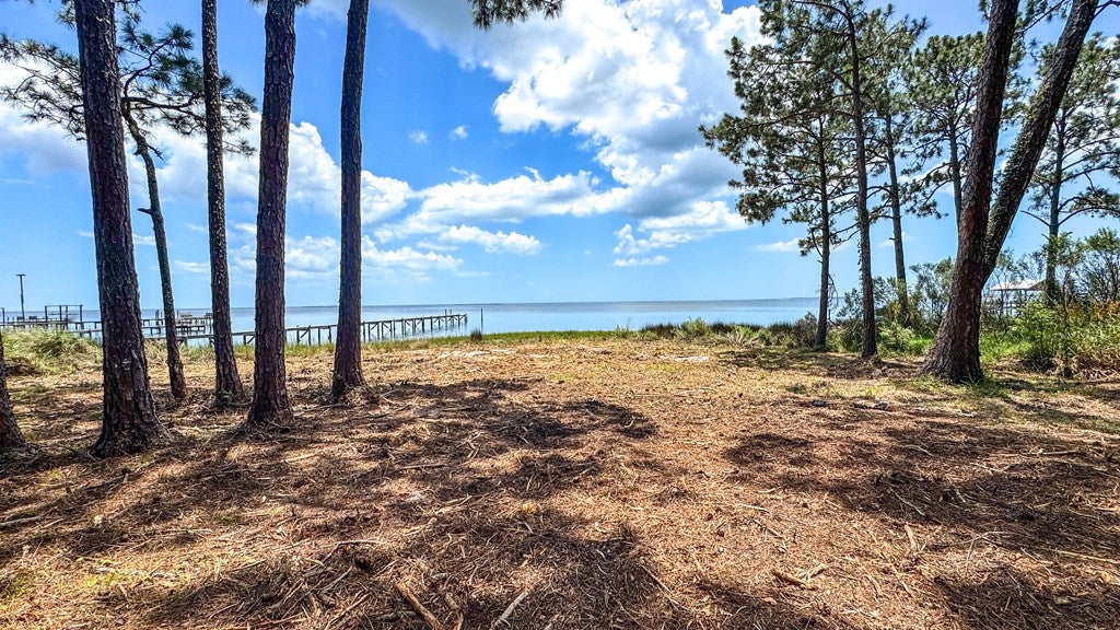 2506 Highway 98 E, Carrabelle, FL 32322 photo