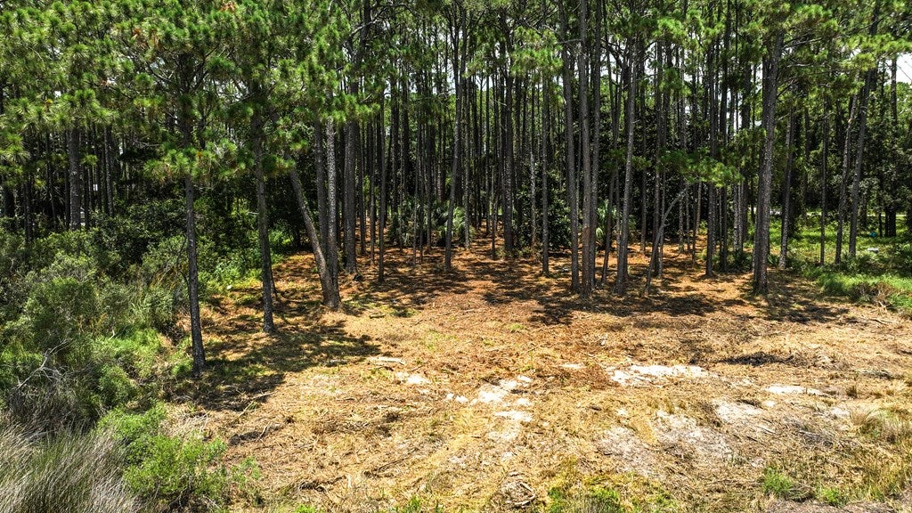 2506 Highway 98 E, Carrabelle, FL 32322 photo