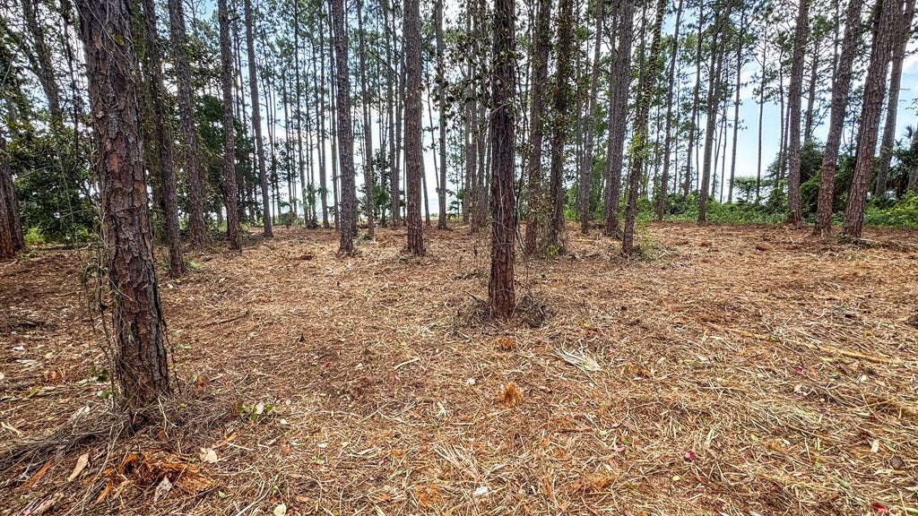 2506 Highway 98 E, Carrabelle, FL 32322 photo