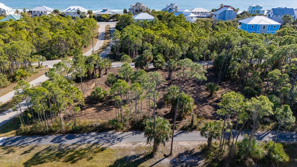 1944 Reed Ct, St. George Island, FL 32328 photo