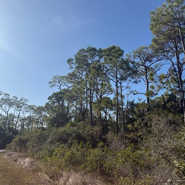 1735 Kingfisher Rd, St. George Island, FL 32328 photo