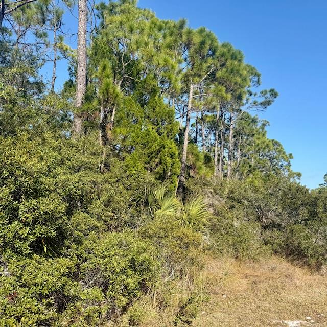 1735 Kingfisher Rd, St. George Island, FL 32328 photo