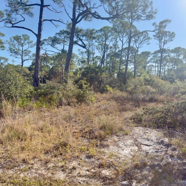 1405 Evodia Ct, St. George Island, FL 32328 photo