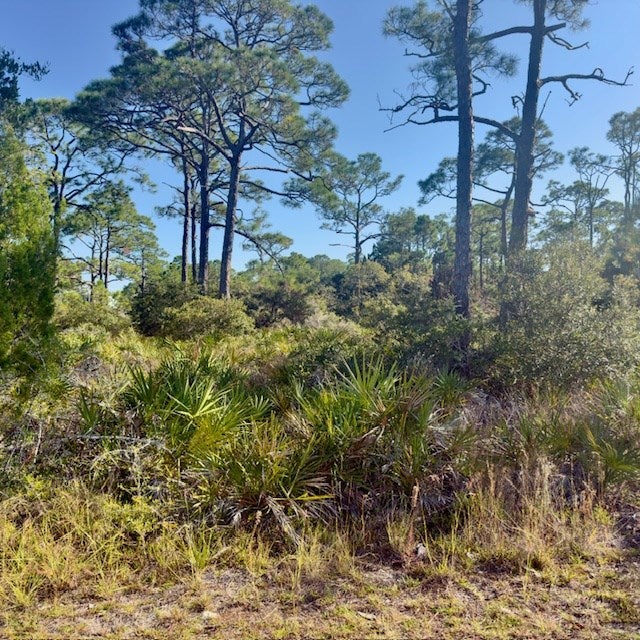 1405 Evodia Ct, St. George Island, FL 32328 photo
