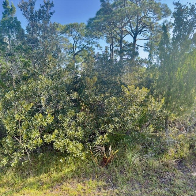 1405 Evodia Ct, St. George Island, FL 32328 photo