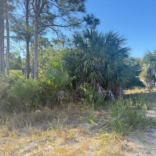 1405 Evodia Ct, St. George Island, FL 32328 photo