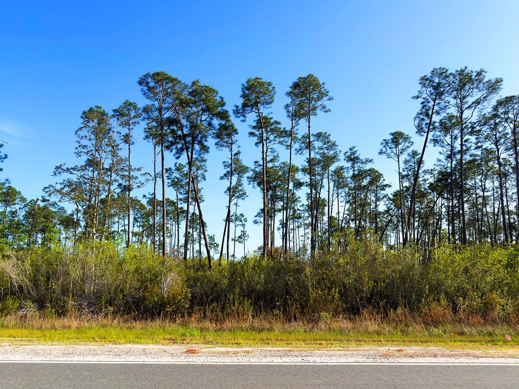 TBD Cr 386 N, Wewahitchka, FL 32465 photo