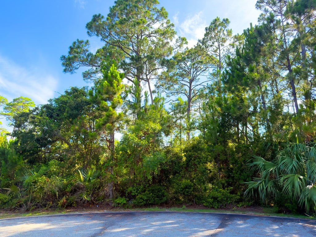 14 Sweet Bay Ln #LOT, Port Saint Joe, FL 32456 photo