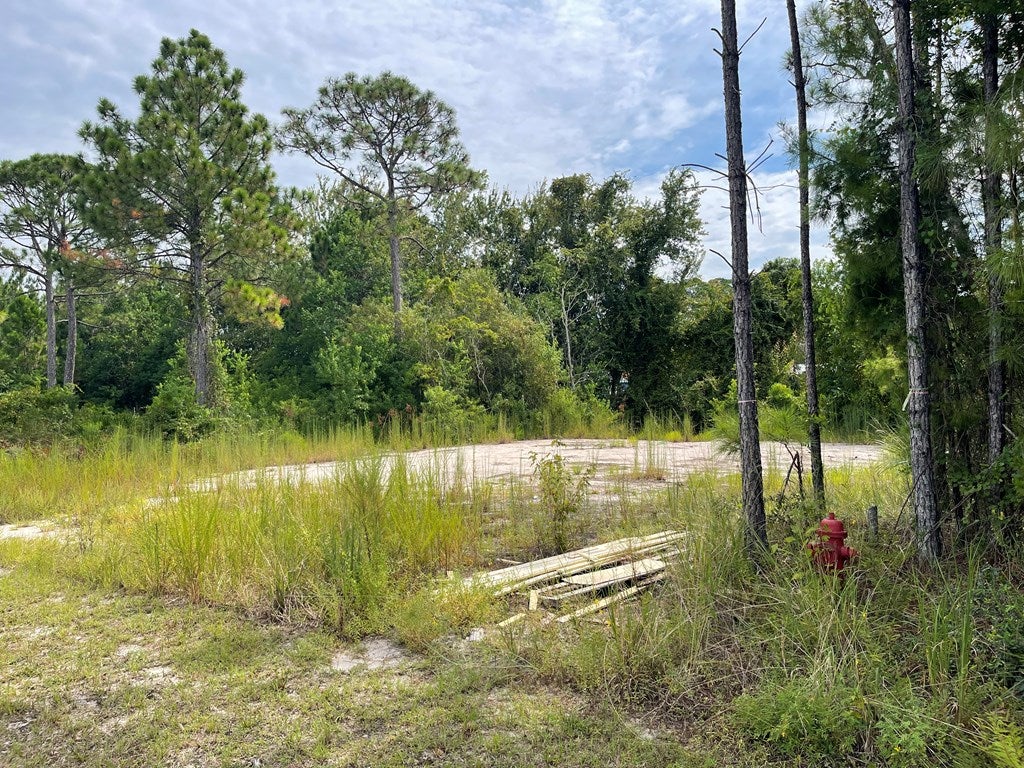1620 Sea Breeze Way, Carrabelle, FL 32322 photo