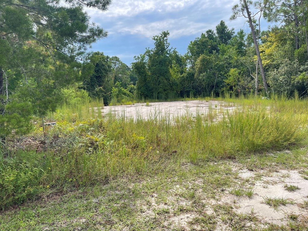 1620 Sea Breeze Way, Carrabelle, FL 32322 photo