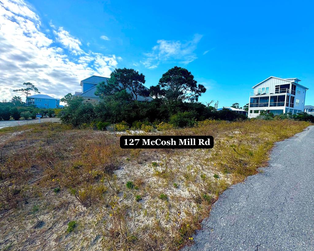 127 Mccosh Mill Rd, Port Saint Joe, FL 32456 photo