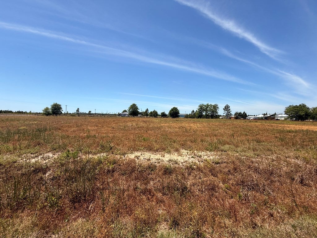 3 Harmony St #LOT, Wewahitchka, FL 32465 photo