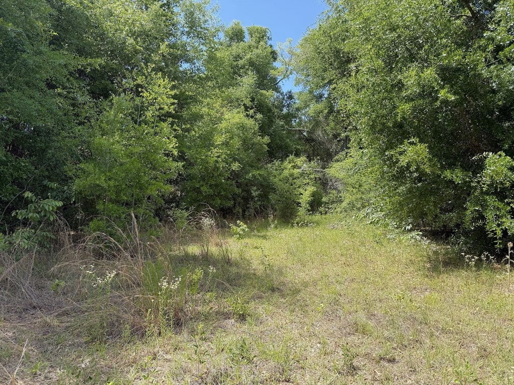 5581 Highway 71 S, Wewahitchka, FL 32465 photo